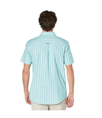 Mens oxford multi stripe short-sleeved shirt green Maine