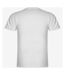 Roly Mens Samoyedo V Neck T-Shirt (White) - UTPF4231