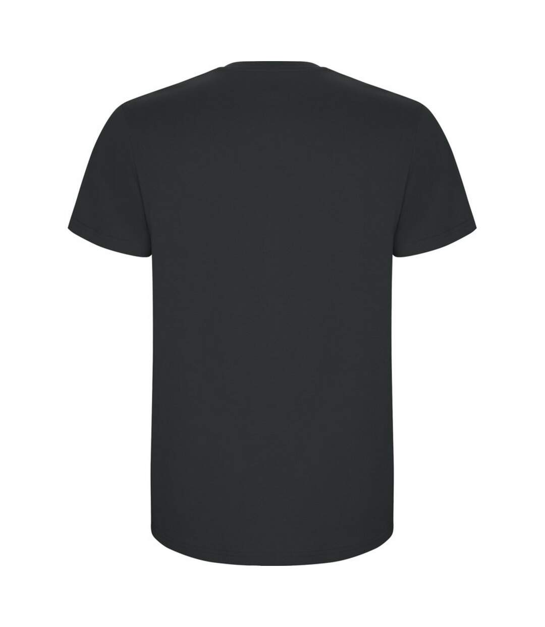Mens stafford t-shirt dark lead Roly-2