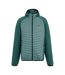 Veste Hybride Andreson Homme Bleu Clair Vert Sarcelle Regatta-2