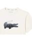 T-shirt Motif/style Imprimé Crocodile Homme Blanc Lacoste-4