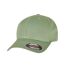 Mens flexfit fitted baseball cap dark leaf green Yupoong