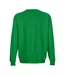 Sweat Columbia Adulte Vert Kelly SOLS-2