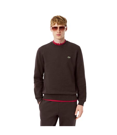 Sweat Motif/style Petit Logo Homme Marron Lacoste