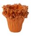 Vase Déco en Grès Ambrosia 19cm Orange-1
