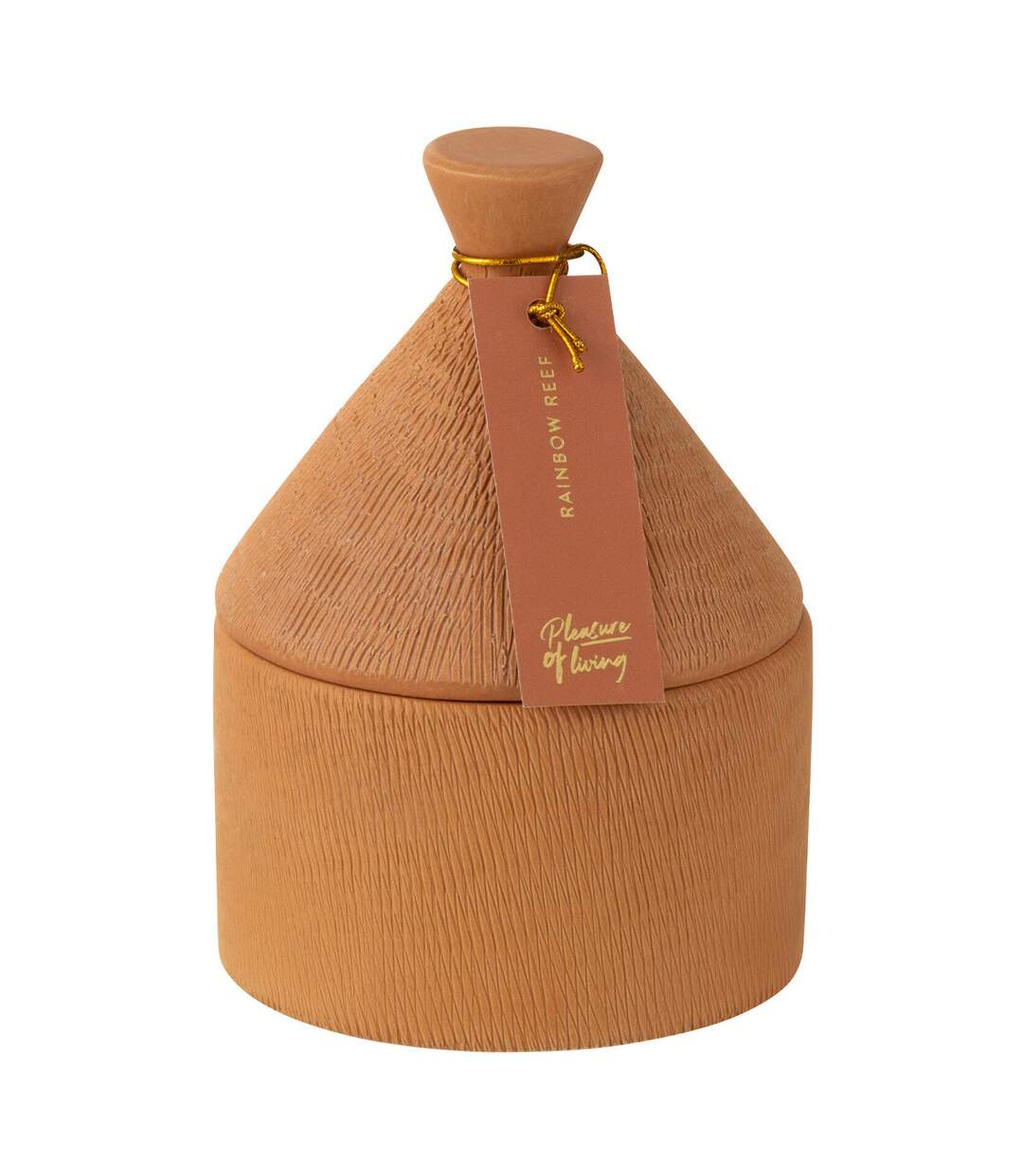 Bougie Parfumée Izia 17cm Rainbow Reef-2