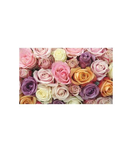 Papier Peint Roses Pastels 270x450cm