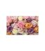 Papier Peint Roses Pastels 270x450cm-2
