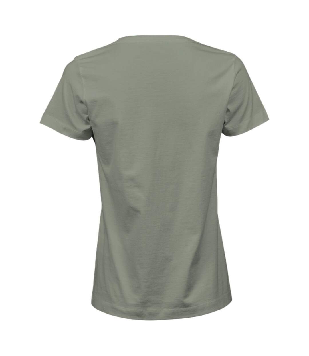 Womens/ladies Soft T-shirt Sage Tee Jays-2