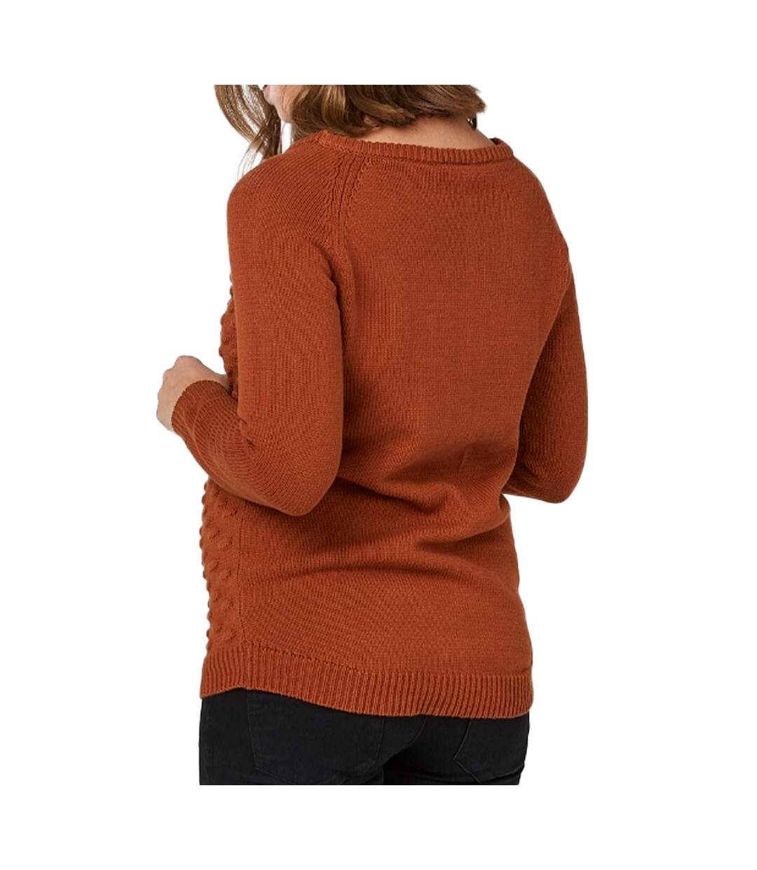 Pull de Grossesse Terracotta Femme Mamalicious - L