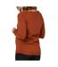 Pull de Grossesse Terracotta Femme Mamalicious - L