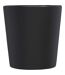 Ross Ceramic 280ml Mug (Matt Black) (One Size) - UTPF4184