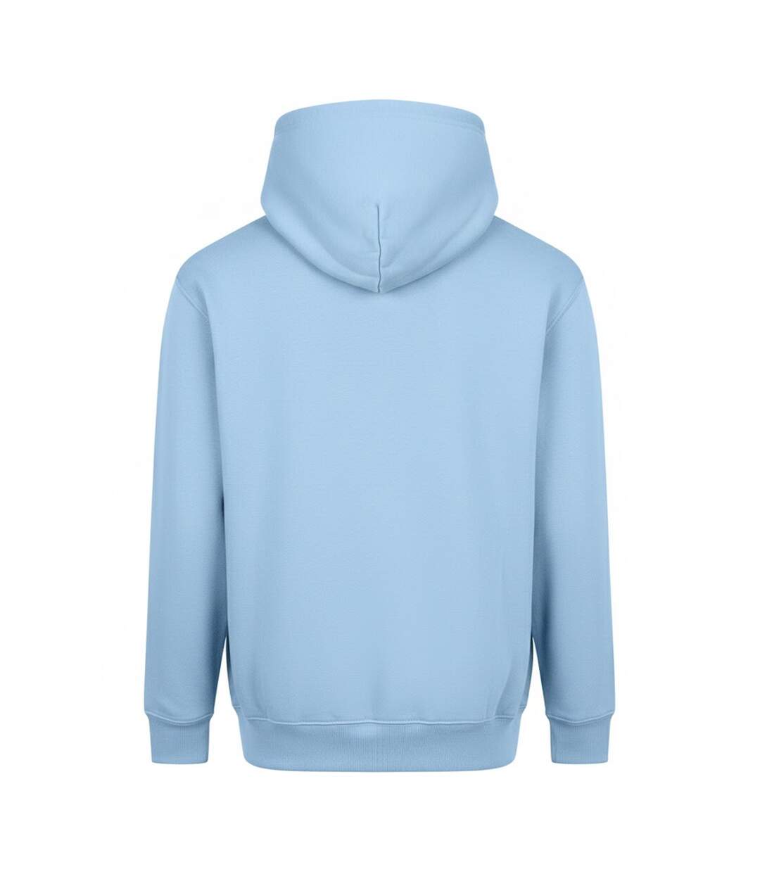 Sweat À Capuche Vision Homme Bleu Glacier Awdis-2