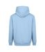 Sweat À Capuche Vision Homme Bleu Glacier Awdis-2