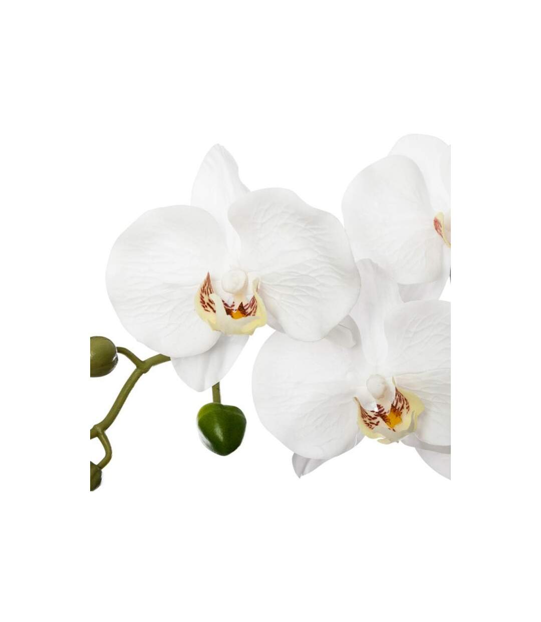 Fleur Artificielle en Pot Orchidée 53cm Gris-2