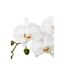 Fleur Artificielle en Pot Orchidée 53cm Gris-2