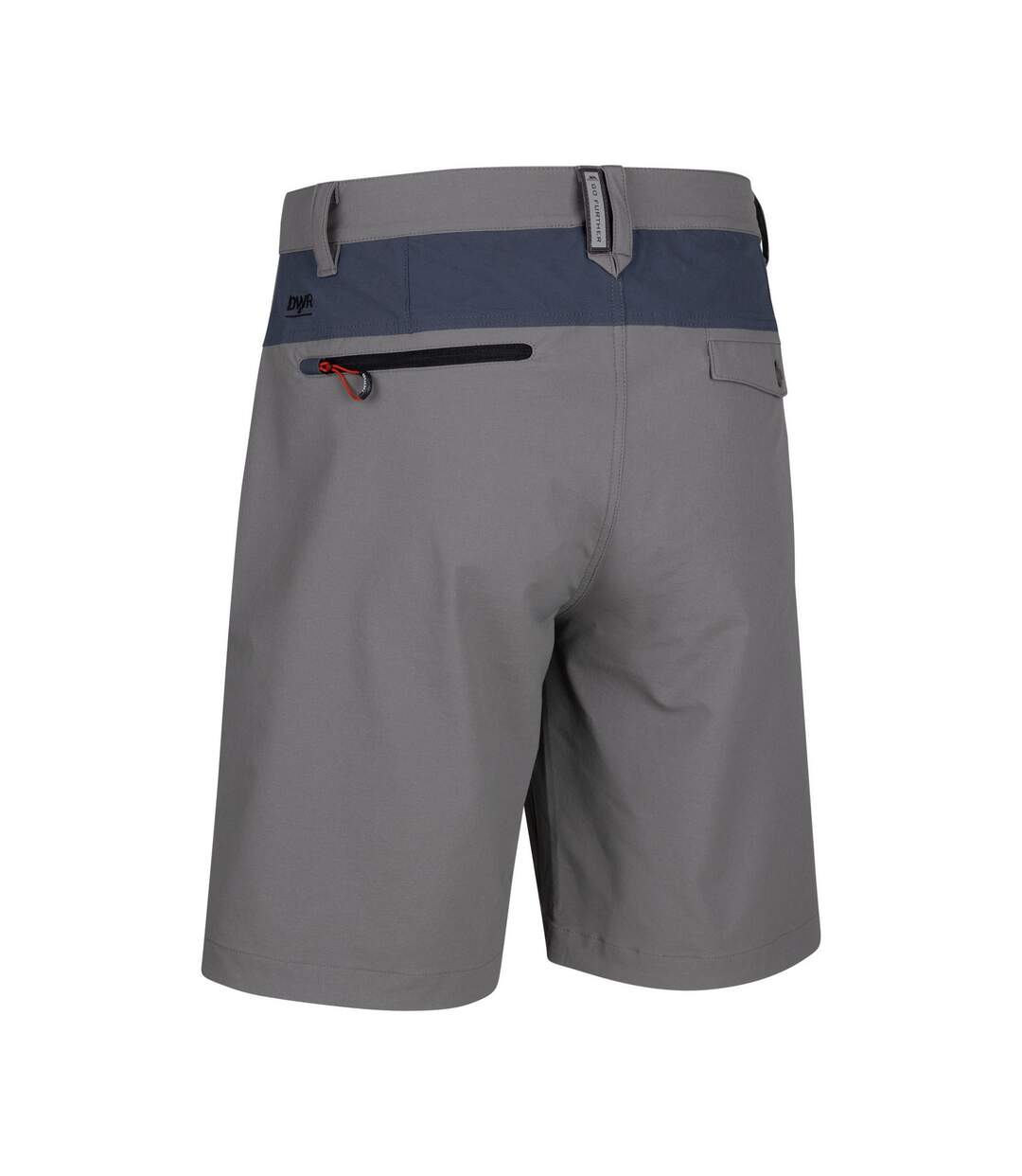 Mens dalham shorts flint Trespass