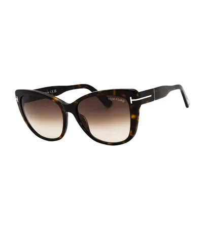 Womens/ladies Roviex Sunglasses One Size Dark Havana Brown Tom Ford