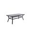 Table de Jardin Virya 200cm Noir & Gris-1