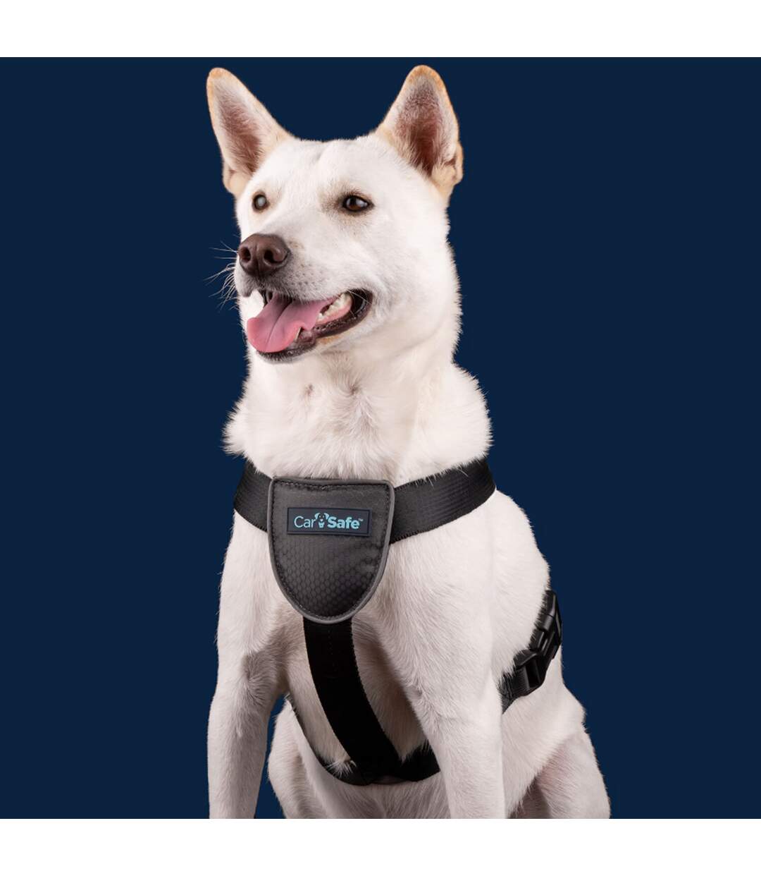 Carsafe dog car harness xs black Company Of Animals-4