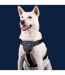 Company Of Animals Carsafe Dog Car Harness (Black) (XS) - UTTL4958