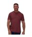 T-shirt classic homme bordeaux Raging Bull