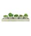 Lot de 5 Plantes & Plateau Succulente 13cm Gris-1