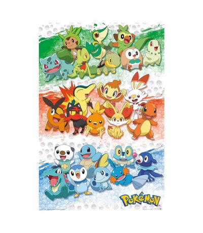 Pokemon - Poster (Multicolore) (91 cm x 61 cm) - UTTA8357
