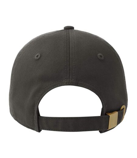 Casquette De Baseball Motif/style 5 Panneaux Dad Hat-s Adulte Gris Foncé Atlantis Headwear