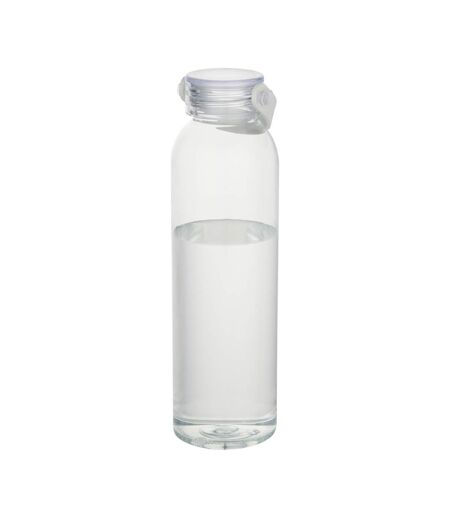 Gourde Alti Taille Unique Transparent Floso
