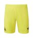 Jaune Castore-1