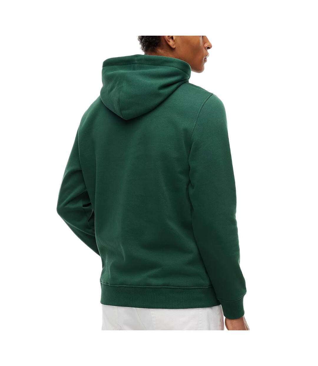 Sweat vert forêt homme tommy hilfiger washed dm0dm20746-2
