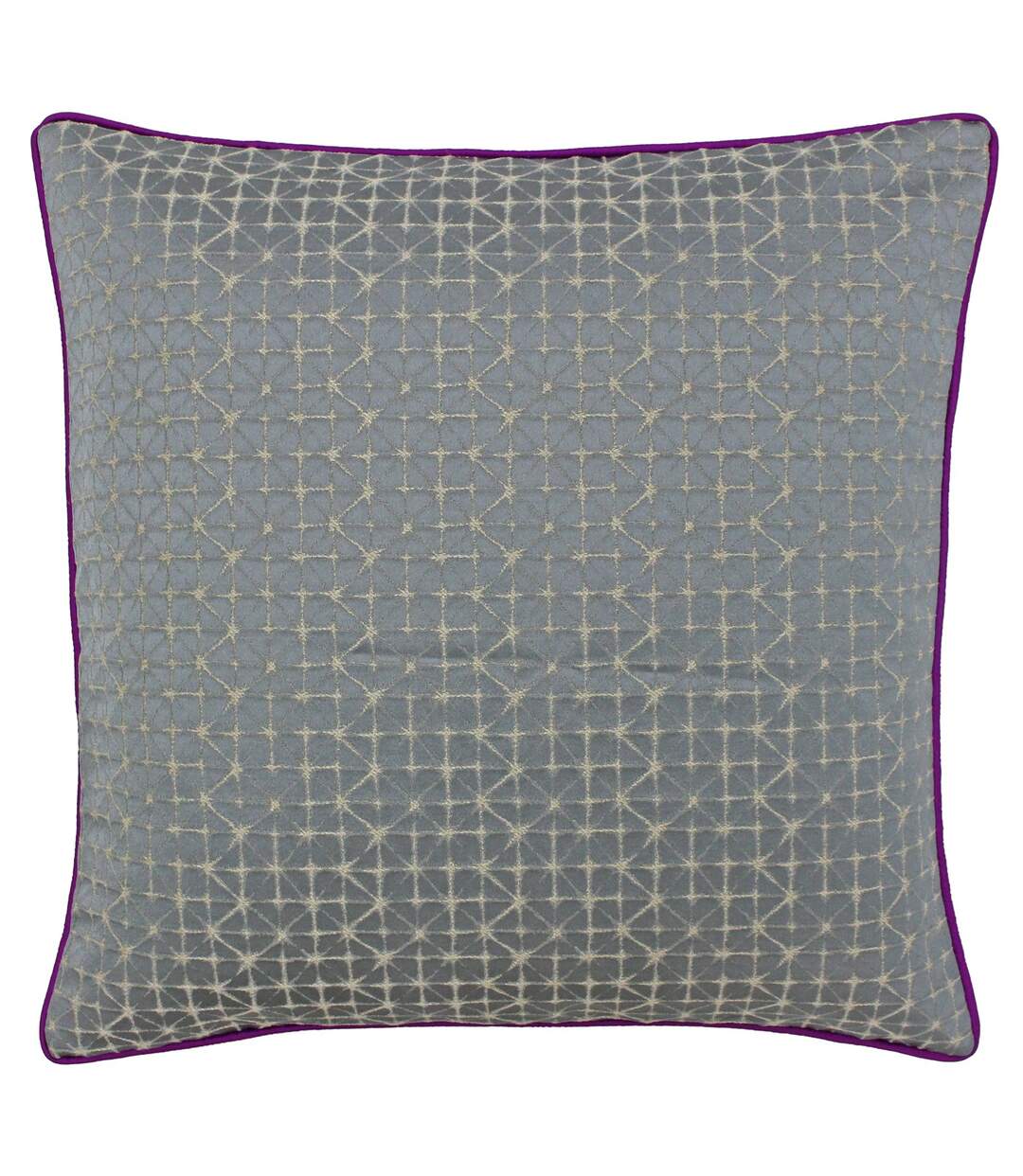 Riva Paoletti Pimlico Cushion Cover (Silver/Magenta) - UTRV1244