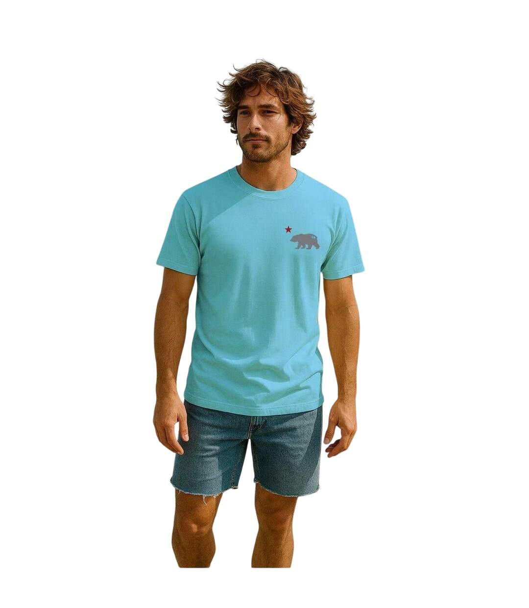 Mens Cali Crew Neck T-shirt Sky Blue Republic Of California-1