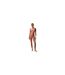 Soutien-gorge Demi Femme Vieux Violet Calvin Klein-1
