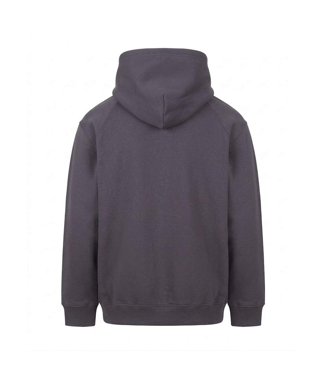 Sweat À Capuche Vision Homme Charbon Uni Awdis-2