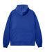 Sweat À Capuche Motif/style Grand Singe Homme Bleu Roi Money-2
