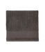 SOLS Peninsula 70 Bath Towel (Dark Gray) (One Size) - UTPC4121