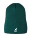 Embroidered Logo Acrylic Pull-on Beanie Pine Kangol-1