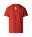 Mens Vertical Performance T-shirt Iron Clay The North Face-3