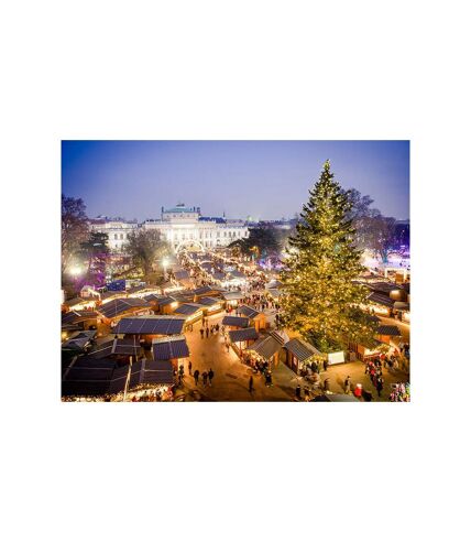 Marché de Noël en Europe : 3 jours à Vienne pour profiter des fêtes - SMARTBOX - Coffret Cadeau Séjour
