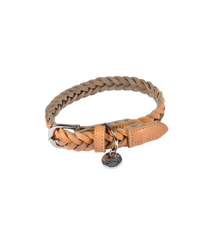 Collier pour Chien Réglable Tressé 30-45cm Naturel