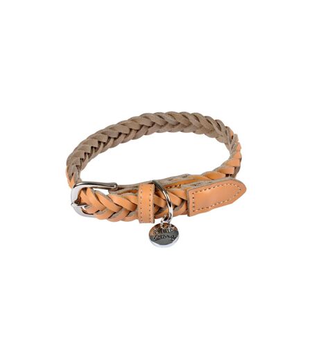 Collier pour Chien Réglable Tressé 30-45cm Naturel