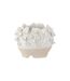 Cache-Pot en Poterie Anémone 25cm Naturel-1