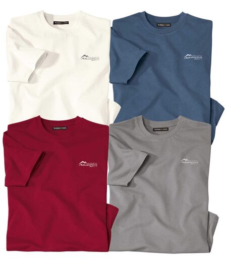 Pack of 4 Men's Plain T-Shirts - Burgundy Grey Ecru Blue