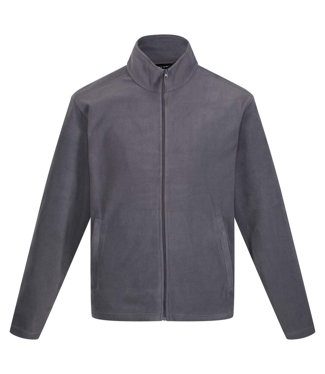 Veste Polaire Classic Homme Gris Regatta-2