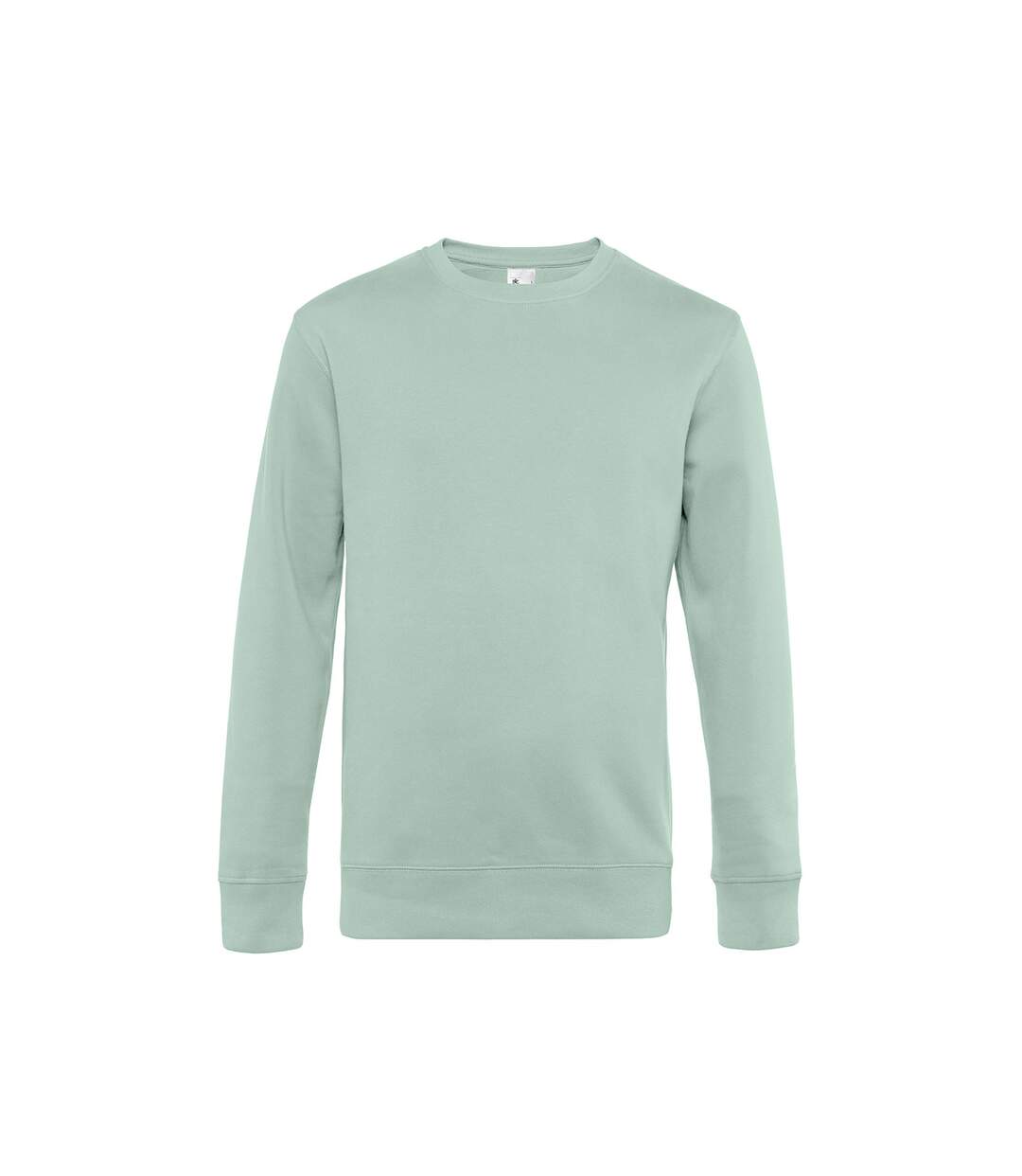 B&C Mens King Crew Neck Sweater (Aqua Green) - UTBC4689