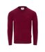 Pull Manches Longues Homme Bordeaux Lee Cooper-1