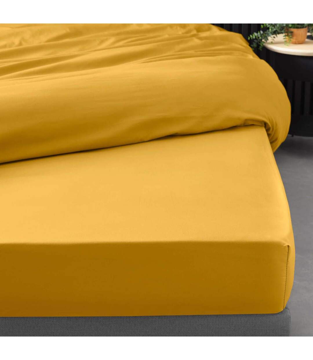 Drap Housse Percaline 140x190cm Curry-4
