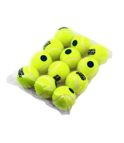 Karakal - Balles de tennis (Jaune / Vert) (Taille unique) - UTCS1888
